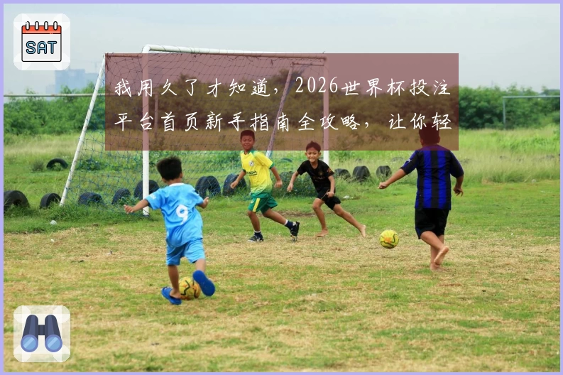 我用久了才知道，2026世界杯投注平台首页新手指南全攻略，让你轻松上手