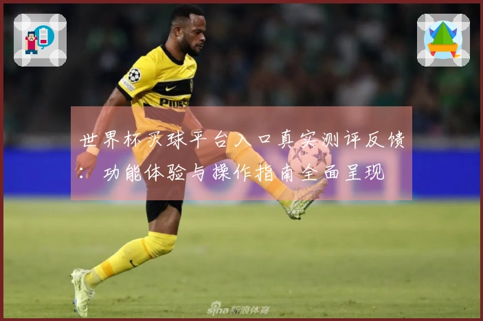世界杯买球平台入口真实测评反馈：功能体验与操作指南全面呈现