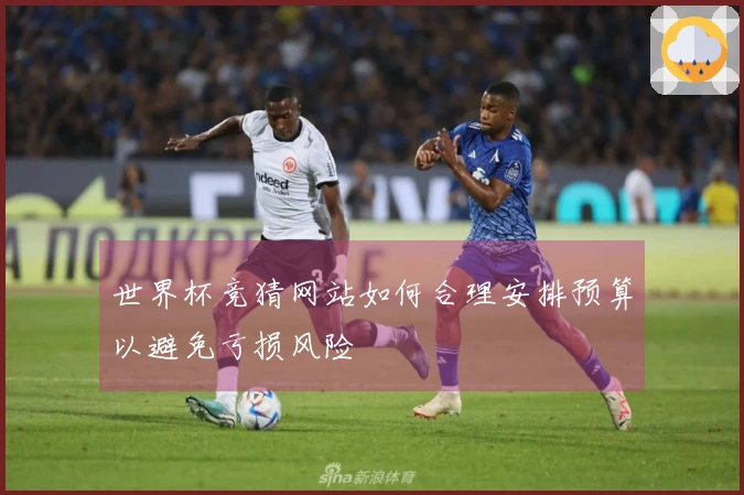 世界杯竞猜网站如何合理安排预算以避免亏损风险