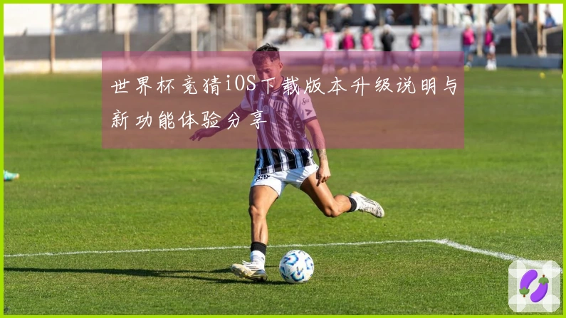 世界杯竞猜iOS下载版本升级说明与新功能体验分享