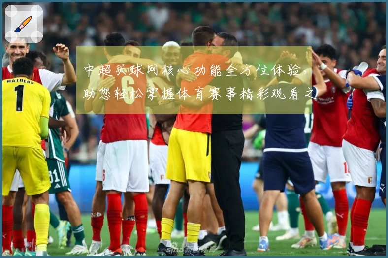 中超买球网核心功能全方位体验，助您轻松掌握体育赛事精彩观看之道