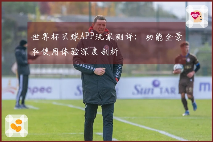 世界杯买球APP玩家测评：功能全景和使用体验深度剖析