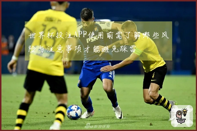 世界杯投注APP使用前需了解哪些风险与注意事项才能避免踩雷