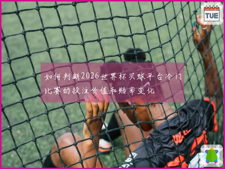 如何判断2026世界杯买球平台冷门比赛的投注价值和赔率变化