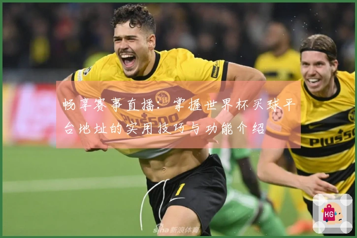 畅享赛事直播：掌握世界杯买球平台地址的实用技巧与功能介绍